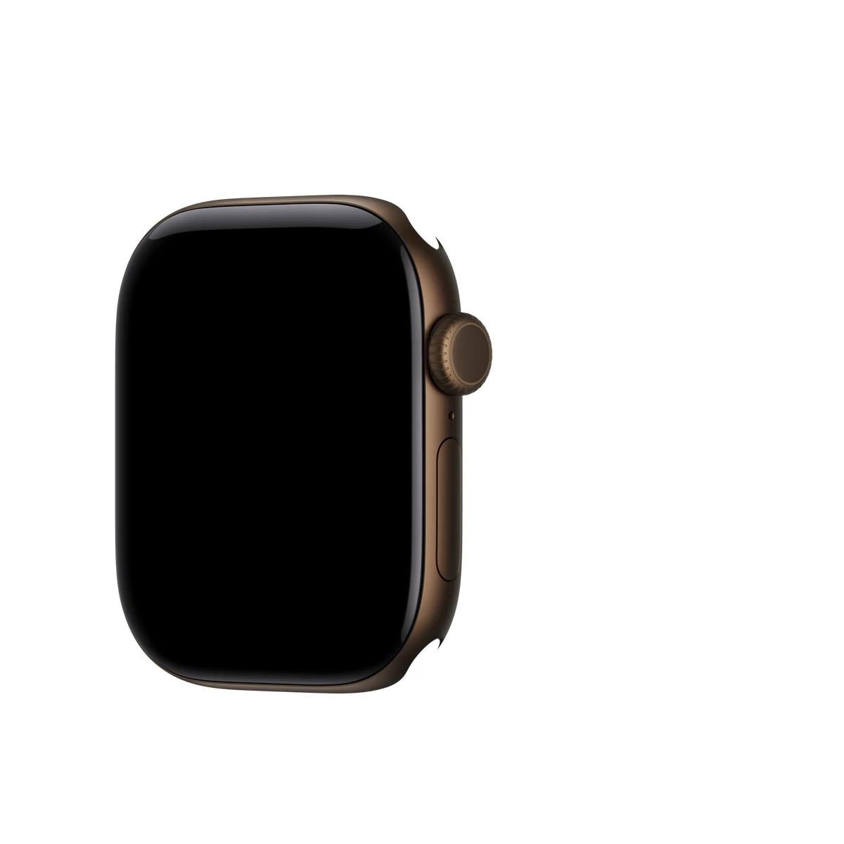 Apple Watch Series 12 42mm Dark Bronze Aluminum &mdash; цвет корпуса