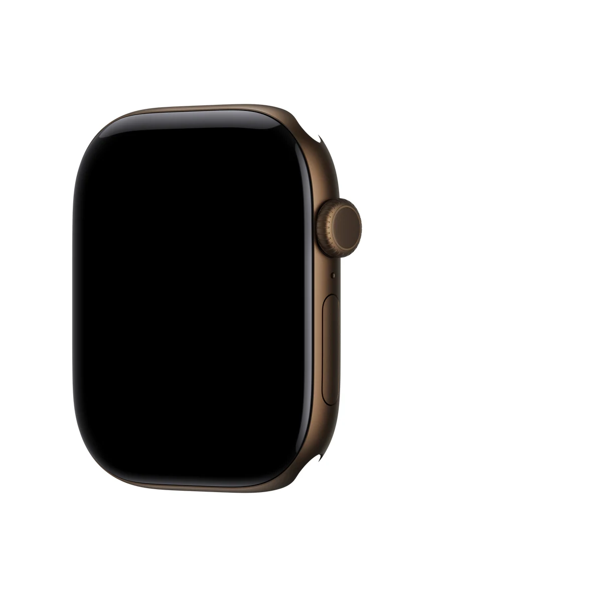 Apple Watch Series 12 46mm Dark Bronze Aluminum &mdash; цвет корпуса