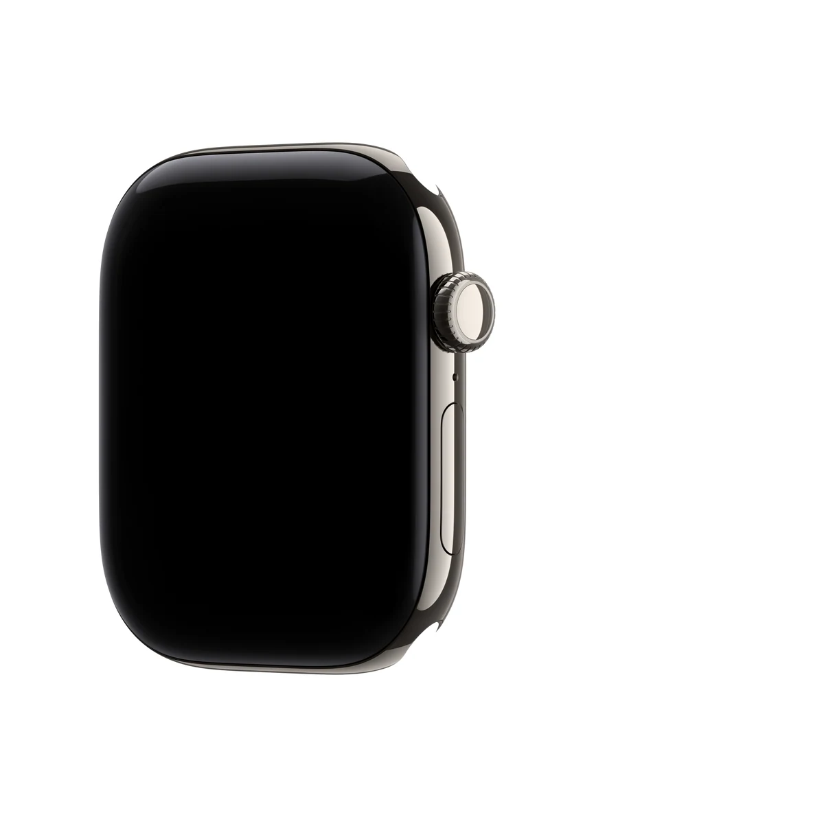 Apple Watch Series 12 46mm Natural Titanium — цвет корпуса