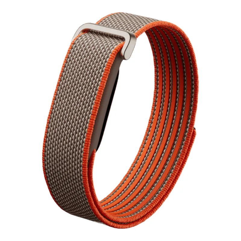 Google Fitbit Air в цвете Rye