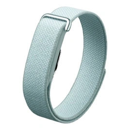 Google Fitbit Air Fog
