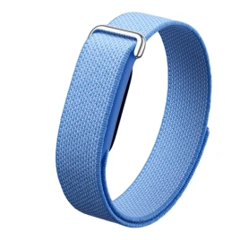 Google Fitbit Air Lavender